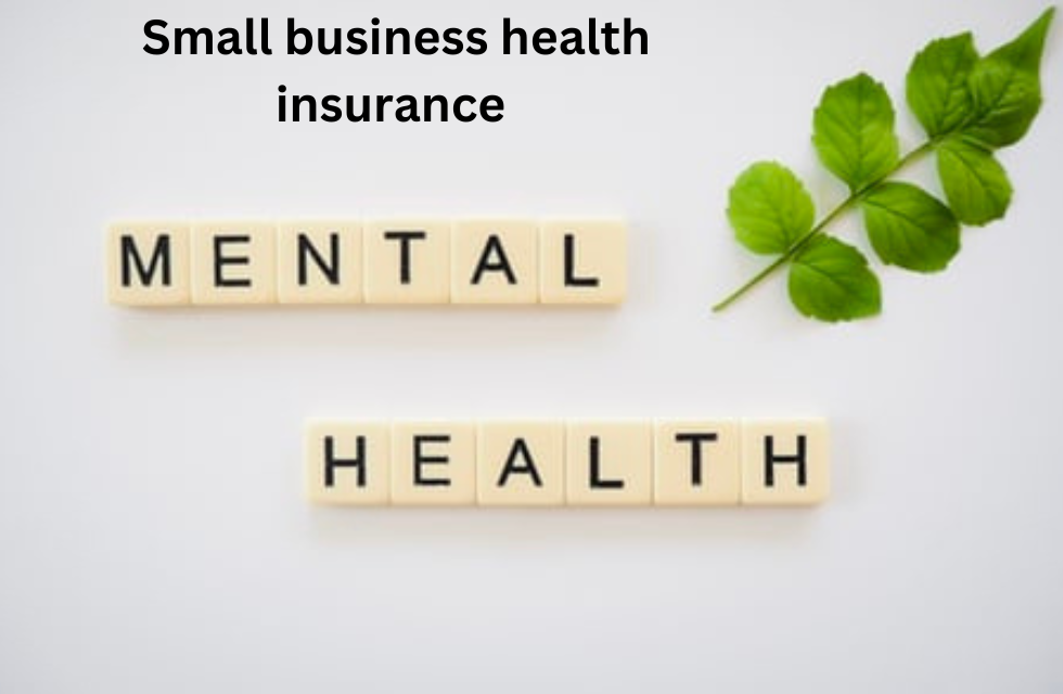 Small business health insurance